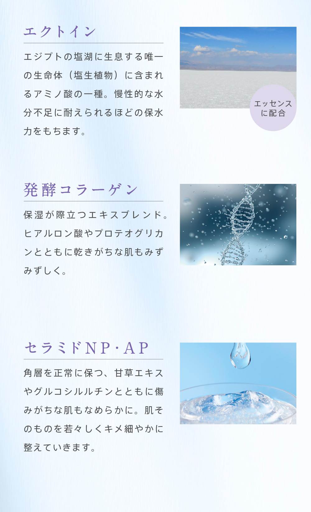 �����̕�