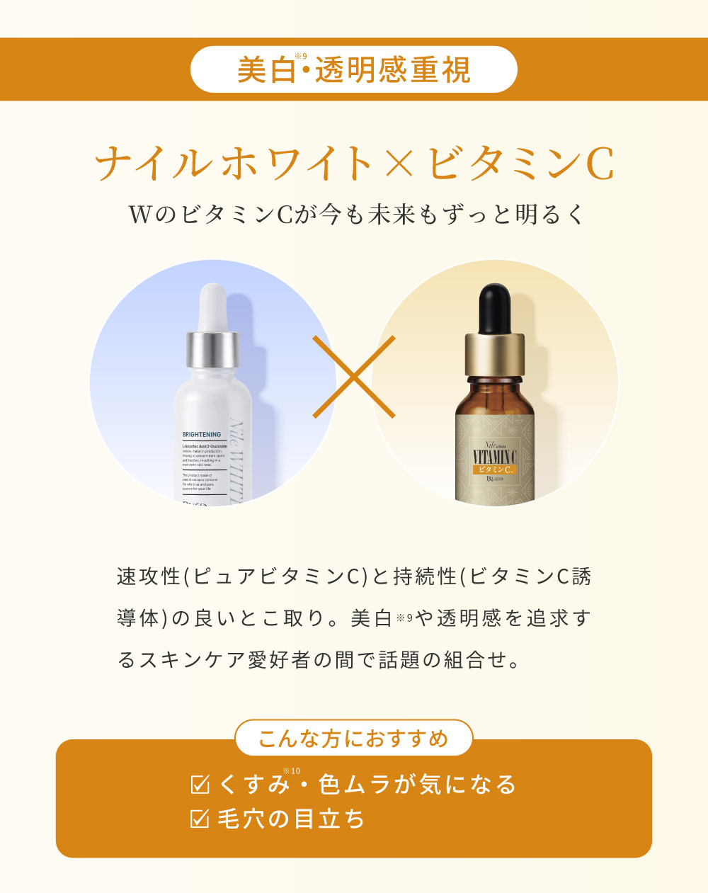 �i�C���z���C�g