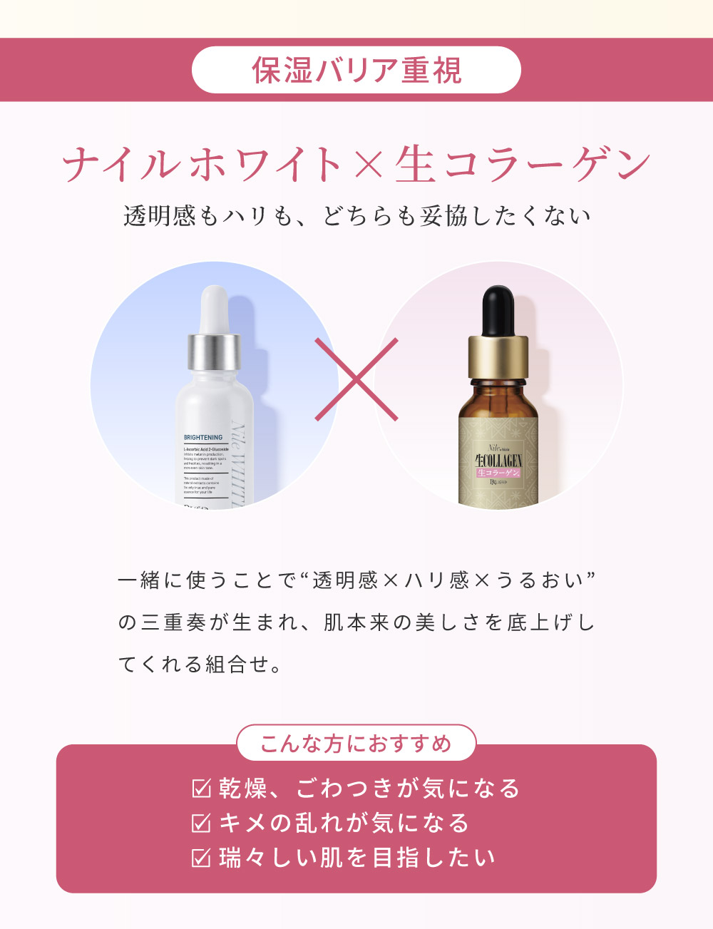 �i�C���z���C�g