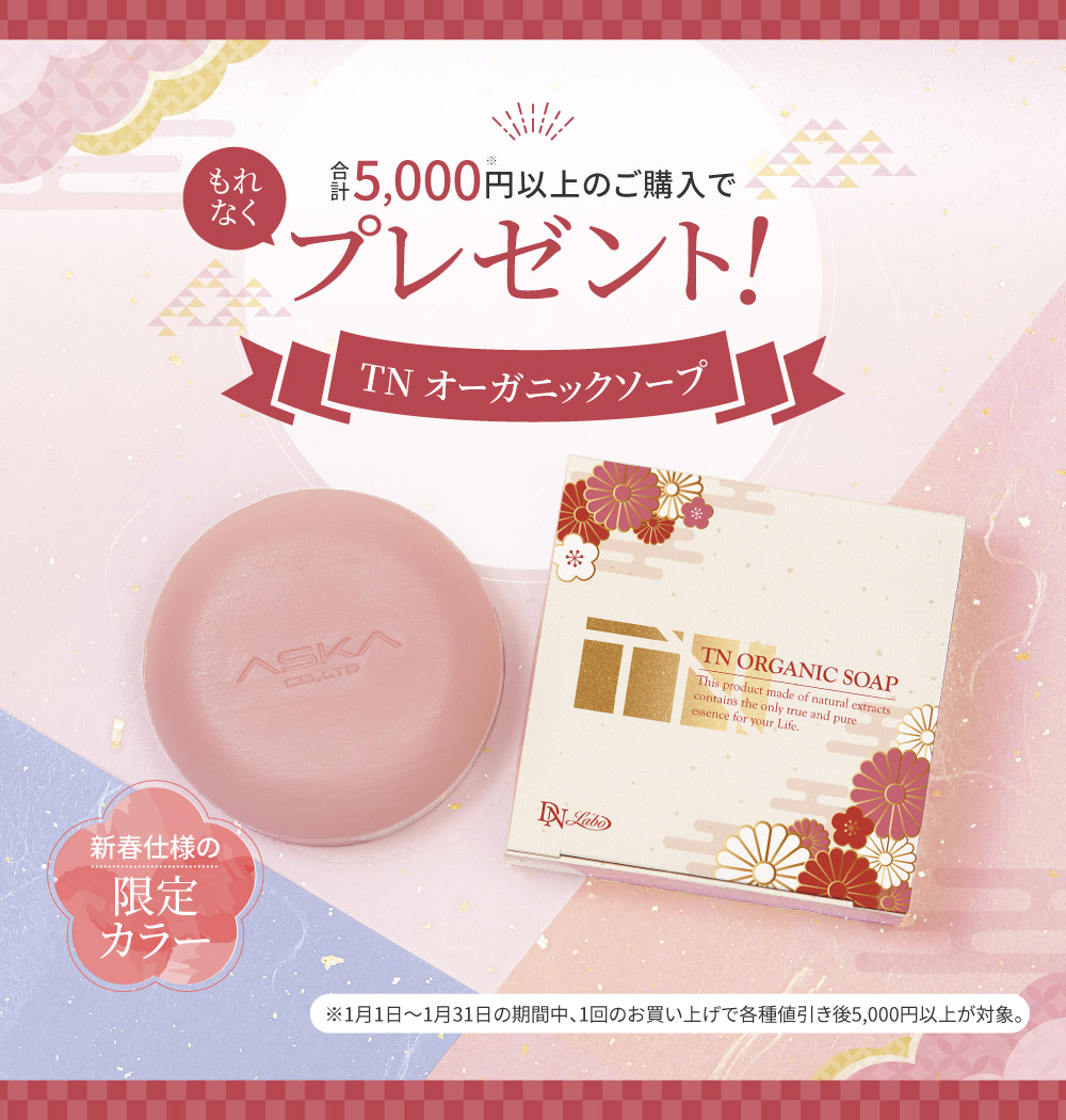 �v���[���g