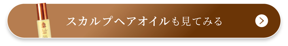 �i�C���̓H �X�[�p�[�u���b�N