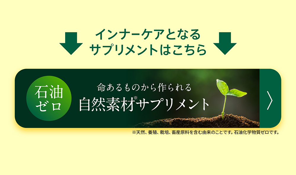 �C���i�[�P�A�ƂȂ�T�v�������g�͂�����