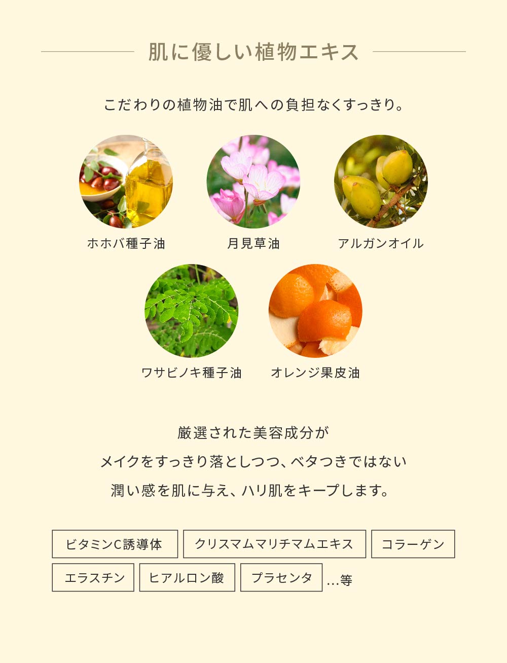 HUMANISM �N�����W���O