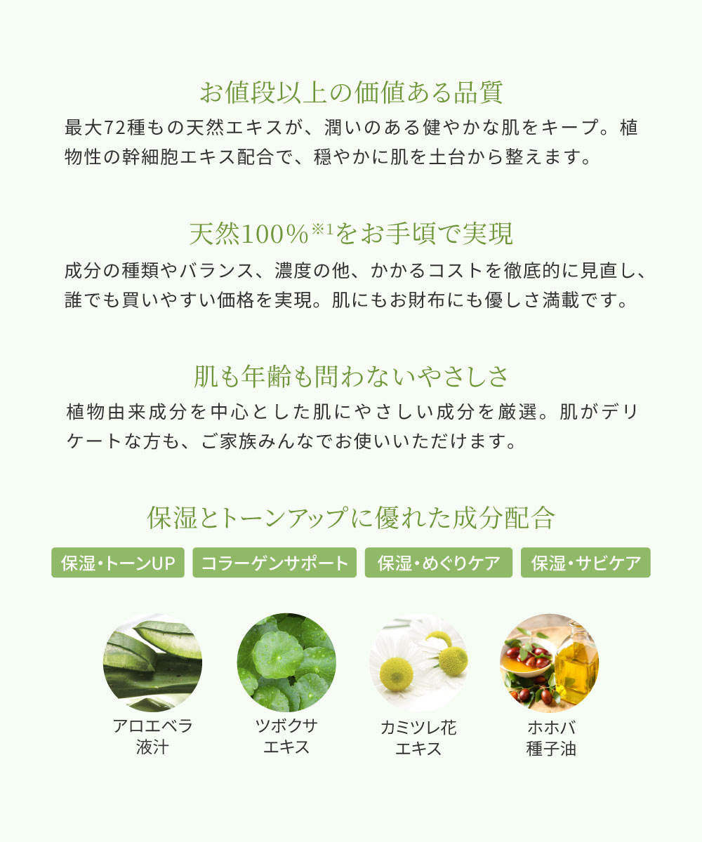 TN ����Ư�